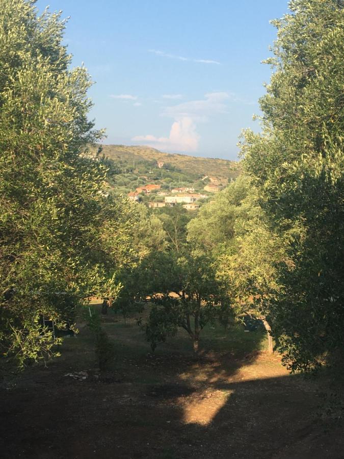 Casa Vacanza Maria Antonieta Marina di Camerota Exterior foto