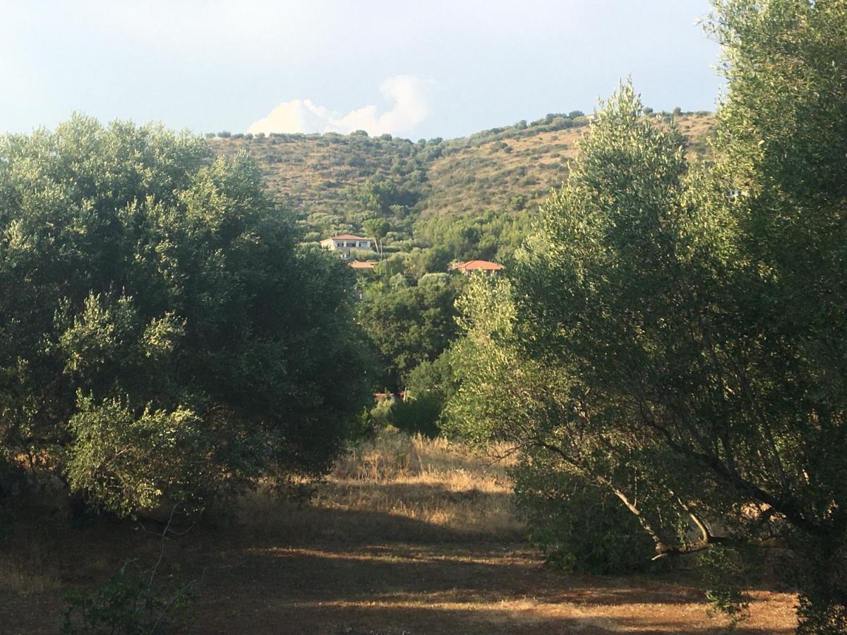 Casa Vacanza Maria Antonieta Marina di Camerota Exterior foto
