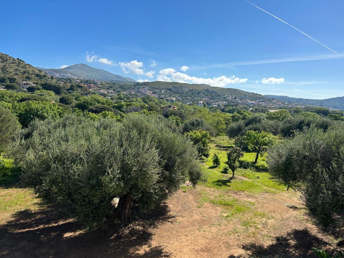 Casa Vacanza Maria Antonieta Marina di Camerota Exterior foto